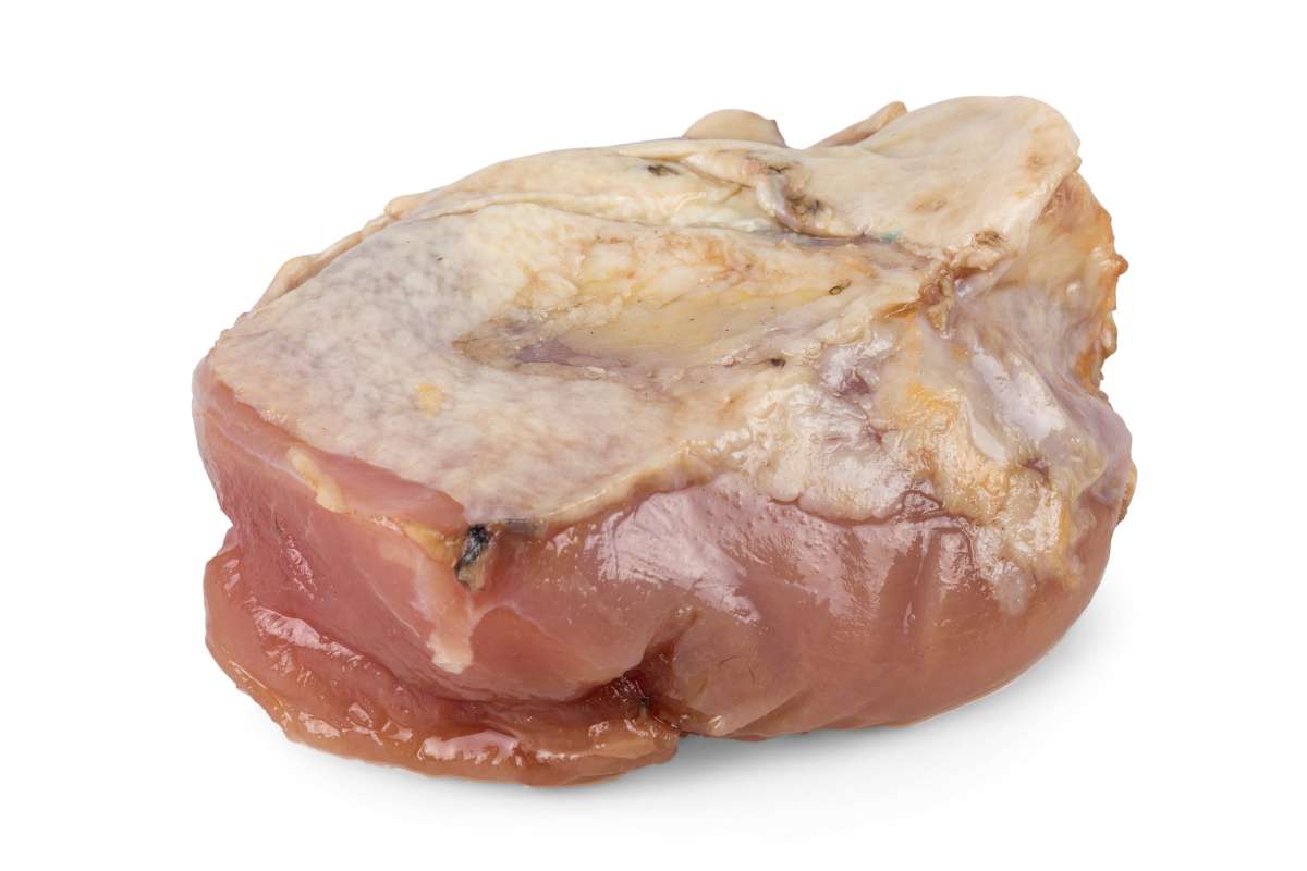 Fazantfilet